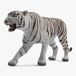 white tiger roar model