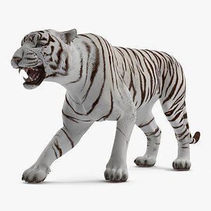White Tiger Roar 3D Model