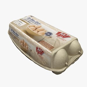 Egg Container 03