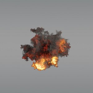 3D aerial explosion 03 vdb model