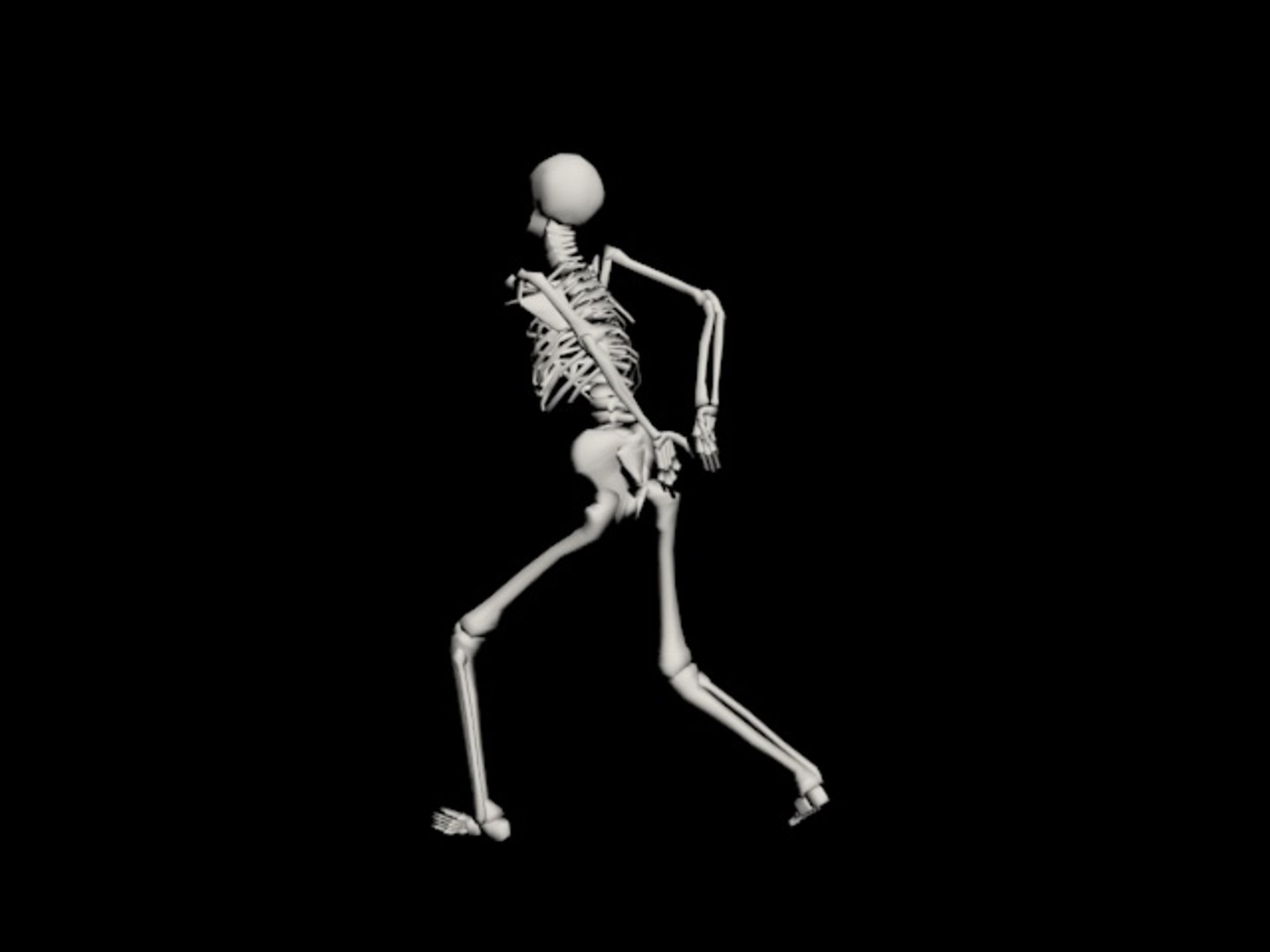 Skeleton Rigged Biped 3d Model