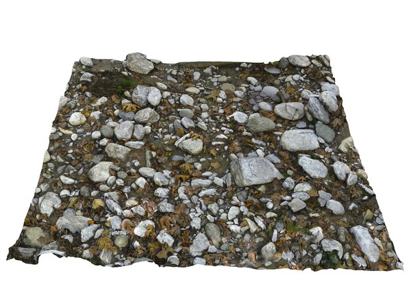 Forest ground 16k hd 3D model - TurboSquid 1328756