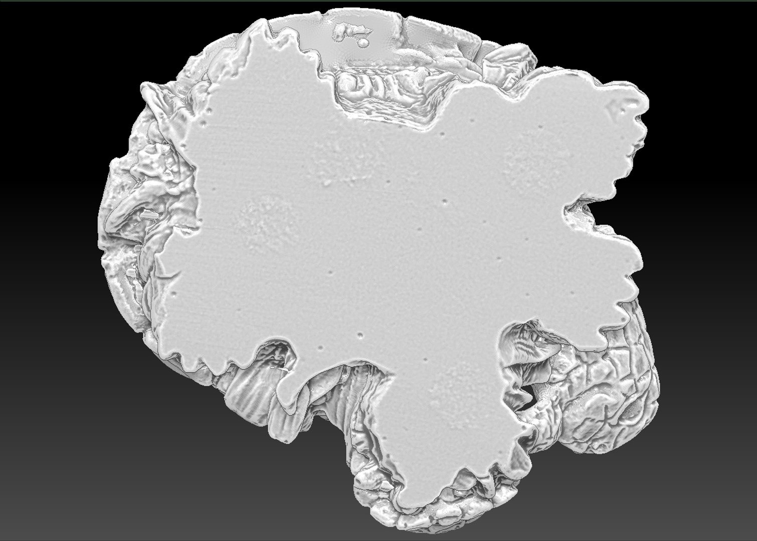 scan turtle trinket obj free https://p.turbosquid.com/ts-thumb/sF/RAxG1t/5P4YxDKO/bottom/jpg/1369700988/1920x1080/fit_q87/ad6c82564d4482a817b51cab8790a9a8a5d63dfd/bottom.jpg