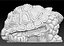 Turtle Trinket