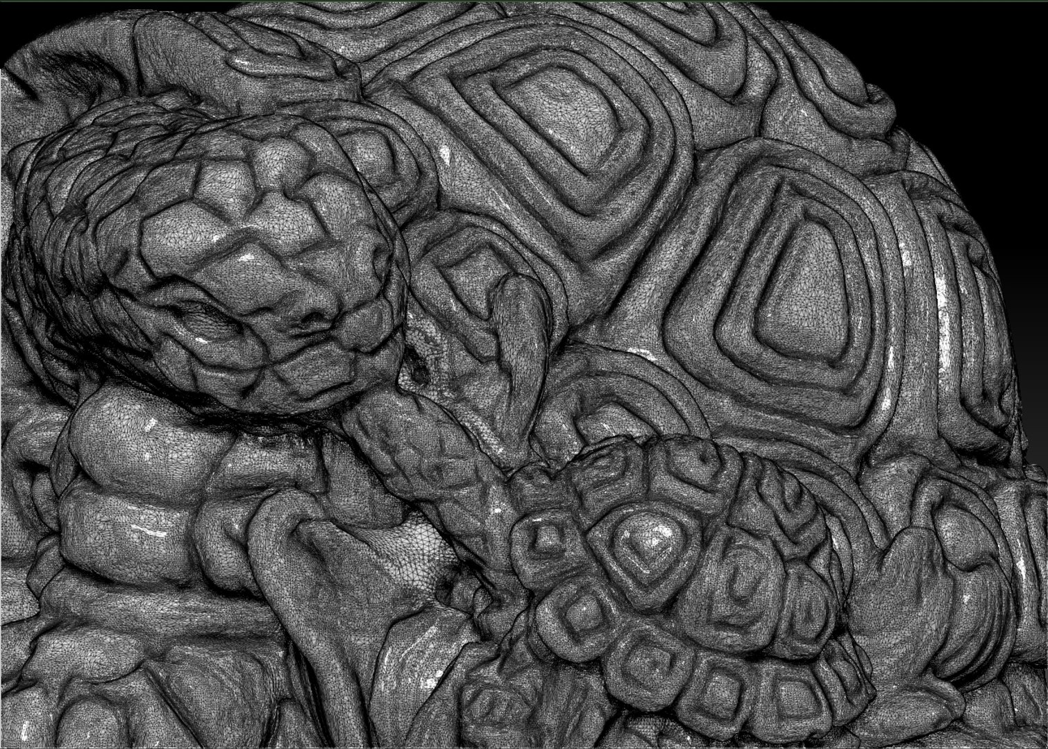 scan turtle trinket obj free https://p.turbosquid.com/ts-thumb/sF/RAxG1t/nxgakL5D/wire/jpg/1369700988/1920x1080/fit_q87/66a043a5fc834e41fd381272dbad4cd50bc6f798/wire.jpg