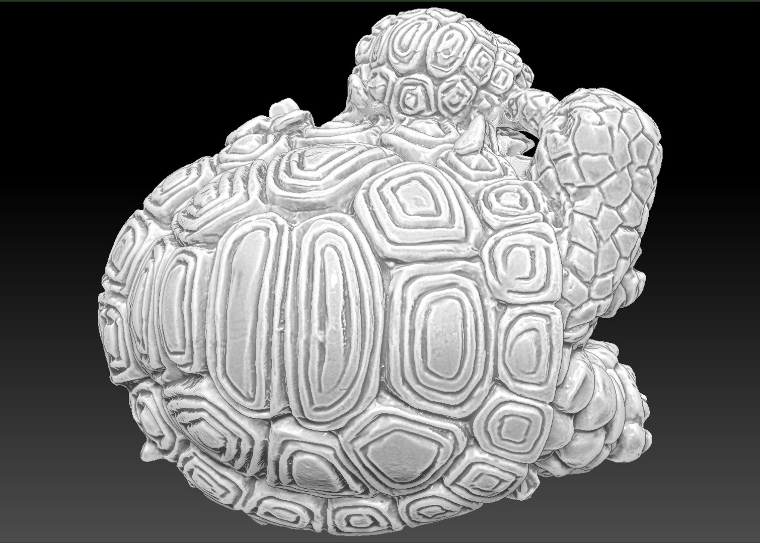 scan turtle trinket obj free https://p.turbosquid.com/ts-thumb/sF/RAxG1t/wcYCxAwR/top/jpg/1369700988/1920x1080/fit_q87/427c37d0bbf6dea800c02374c60f2823846dd8c2/top.jpg
