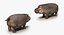Collection d'animaux d'Afrique