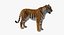Collection d'animaux d'Afrique