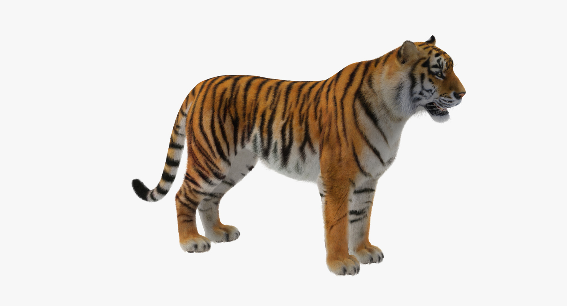 african animals model https://p.turbosquid.com/ts-thumb/sF/VxBU8N/RTtz02y1/african_animals_collection_360/jpg/1530206675/1920x1080/turn_fit_q99/36ce561151ab388d1dd89824fb19e0980354df4b/african_animals_collection_360-1.jpg