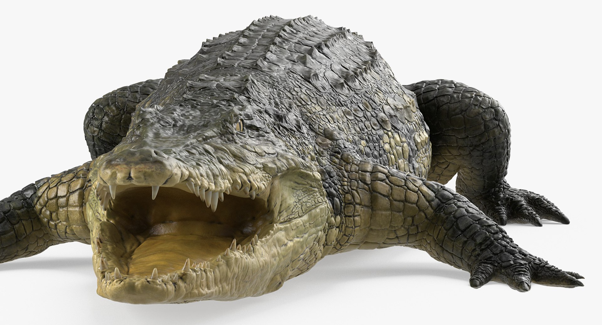 african animals model https://p.turbosquid.com/ts-thumb/sF/VxBU8N/uWCjohE7/africananimalscollection3dmodel016/jpg/1530213226/1920x1080/fit_q87/66ff68b022ca4cccb2d0d92574fefe23bf9f103c/africananimalscollection3dmodel016.jpg