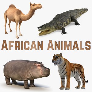 African Animals 3D Models Collection