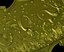 Aquatic Mermaid Theme Panno v2 pour gravure en relief CNC