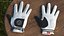 3D Asher Premium Golf Gloves White Lying model