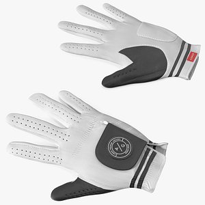 3D Asher Premium Golf Gloves White Lying model