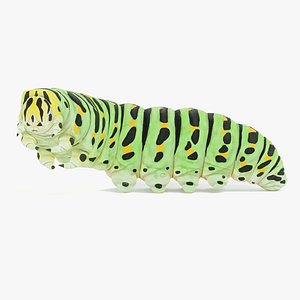 Swallowtail Caterpillar Rigged