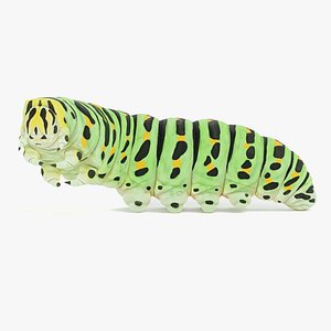 Swallowtail Caterpillar Rigged