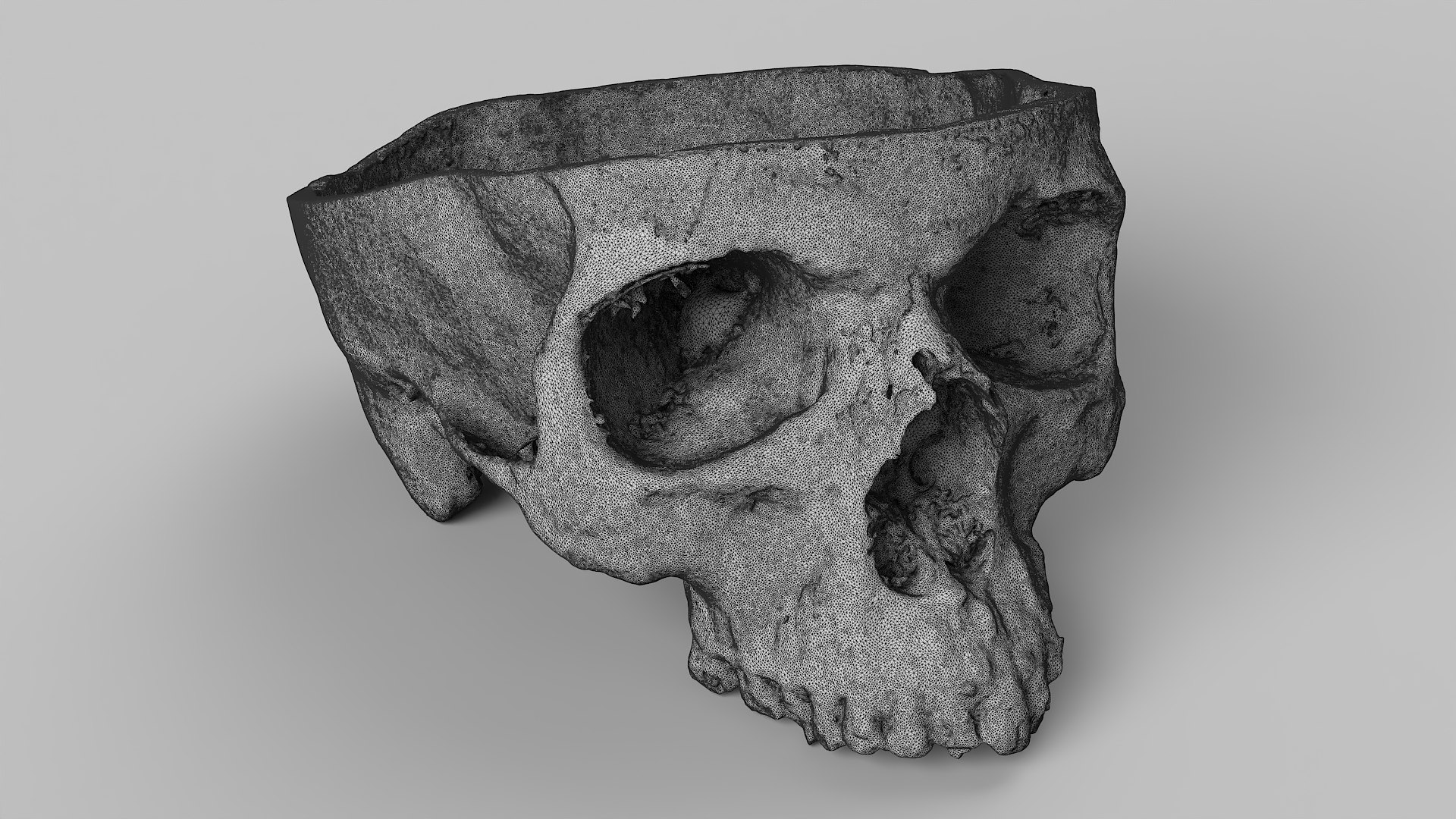 3D Medical Collection BrainSkull 04 https://p.turbosquid.com/ts-thumb/sG/3f2nvo/4m/skull_04/jpg/1698395526/1920x1080/fit_q87/1aa699cb068a08bdaa3dba4d19570756bf5d6449/skull_04.jpg