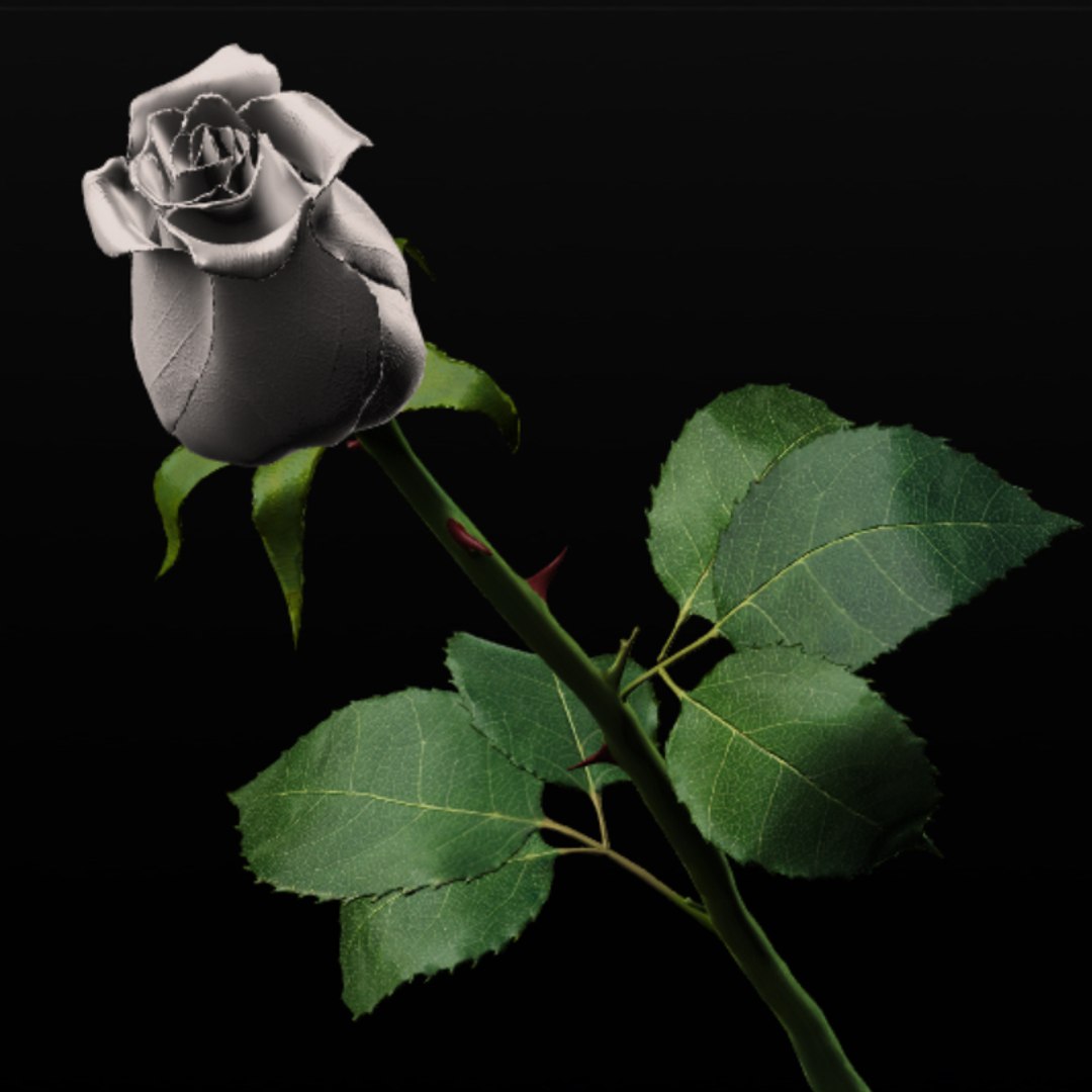 White Rose Obj