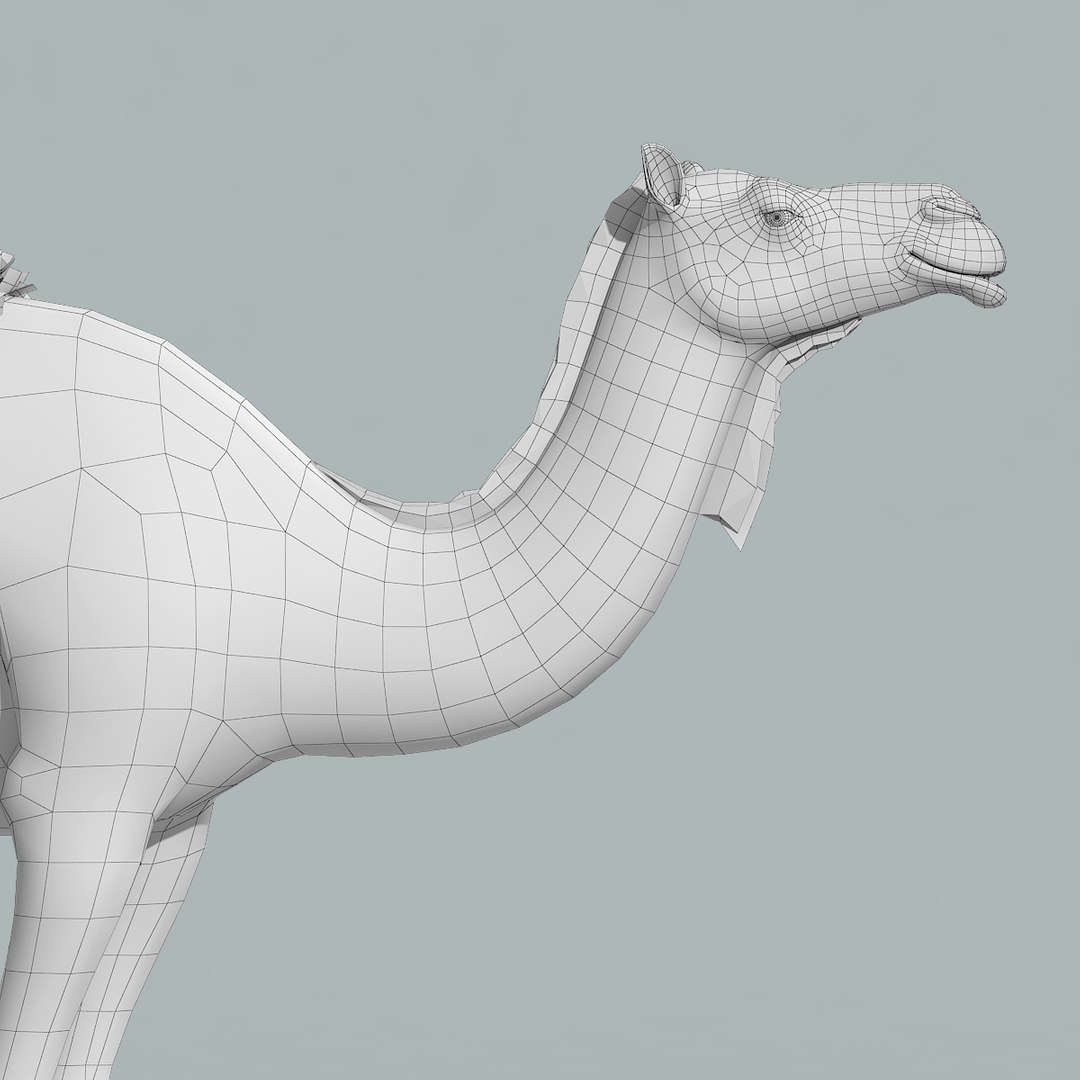 camel rigged 3d max https://p.turbosquid.com/ts-thumb/sG/5zVadE/GzBRiRmQ/camel_model_15/jpg/1470817919/1920x1080/fit_q87/7f0a4dba6d92d652a09ce37f8e02916675a9b0ef/camel_model_15.jpg