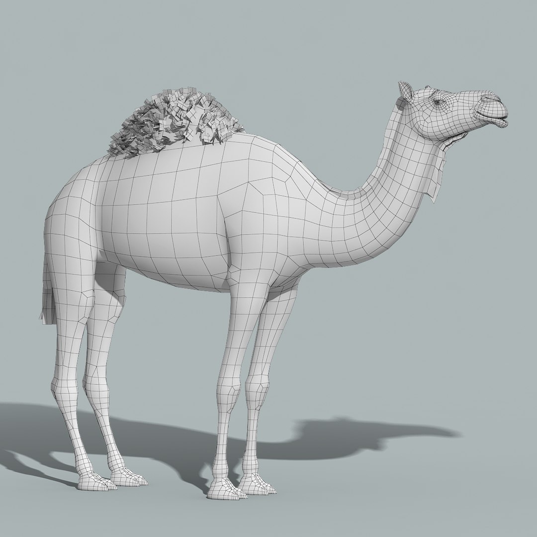 camel rigged 3d max https://p.turbosquid.com/ts-thumb/sG/5zVadE/h7NSmsFJ/camel_model_10/jpg/1470817919/1920x1080/fit_q87/49989c4501fe7487dcf1fa8800e366d70eb2a870/camel_model_10.jpg