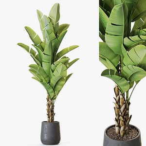 3D Plant 1225 model