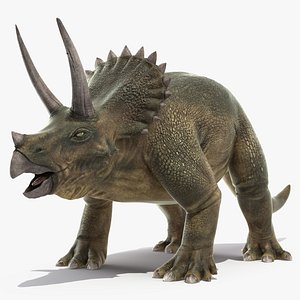 triceratops 3d max