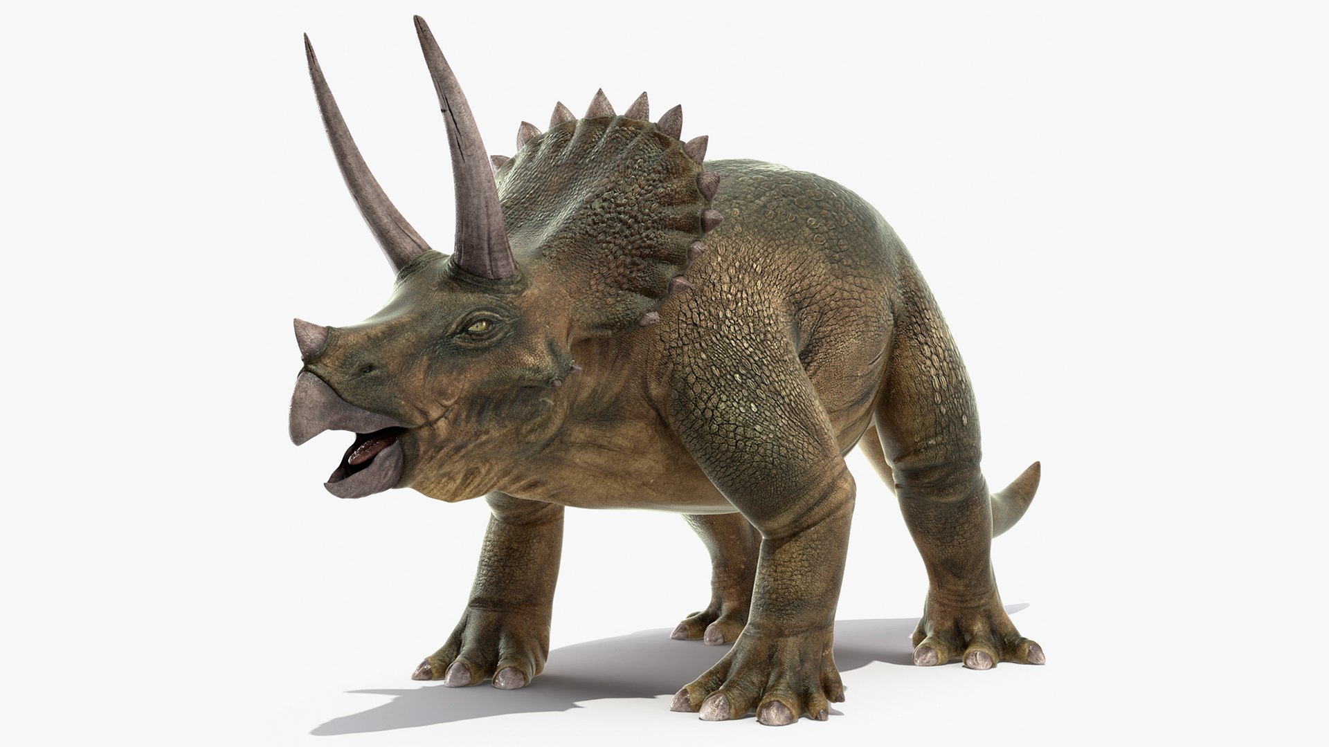Dinosaurs Collection 8 3D model https://p.turbosquid.com/ts-thumb/sG/7hYUfX/SF/triceratops_001/jpg/1674121559/1920x1080/fit_q87/74775f2197a1623a8381b17739ffc3b1d2c45a7b/triceratops_001.jpg