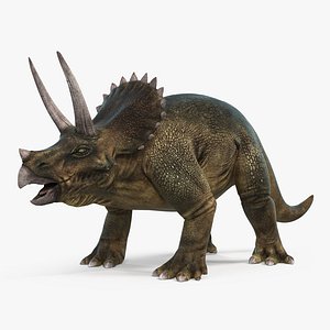 triceratops 3d max