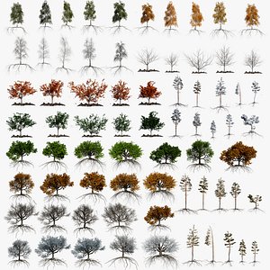 3D Trees Mega Collection model