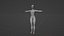 Basic woman body 3D