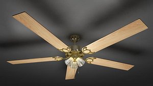 ceiling fan_ts