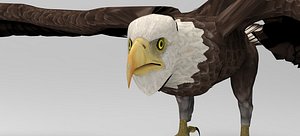3D Eagle - Rigged - Animated model