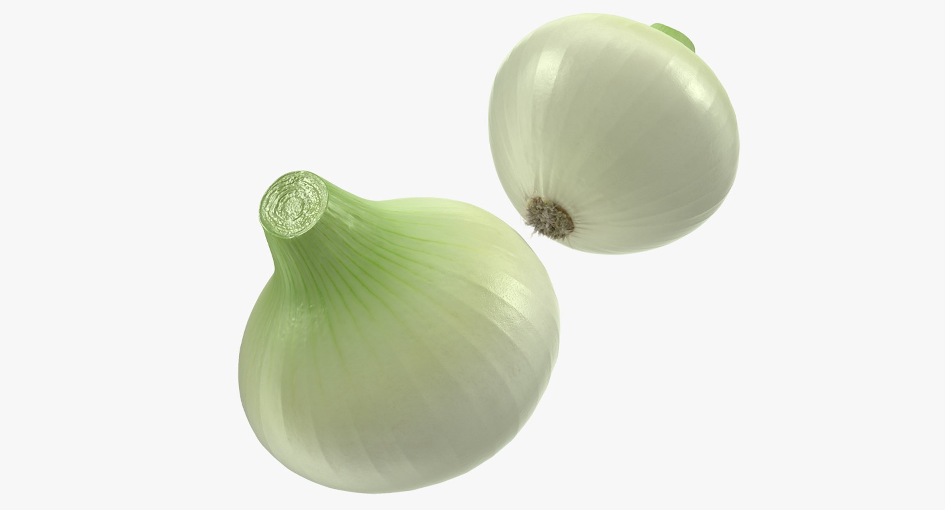 Onion 3D model preview