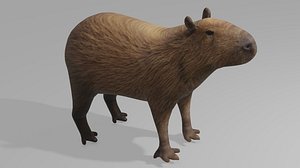3D model Capybara OBJ
