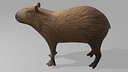 Capybara OBJ