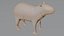 3D model Capybara OBJ