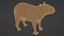 3D model Capybara OBJ