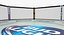 UFC Fighting Arena