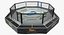 UFC Fighting Arena
