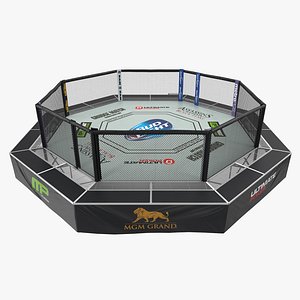 UFC Fighting Arena 3D Model
