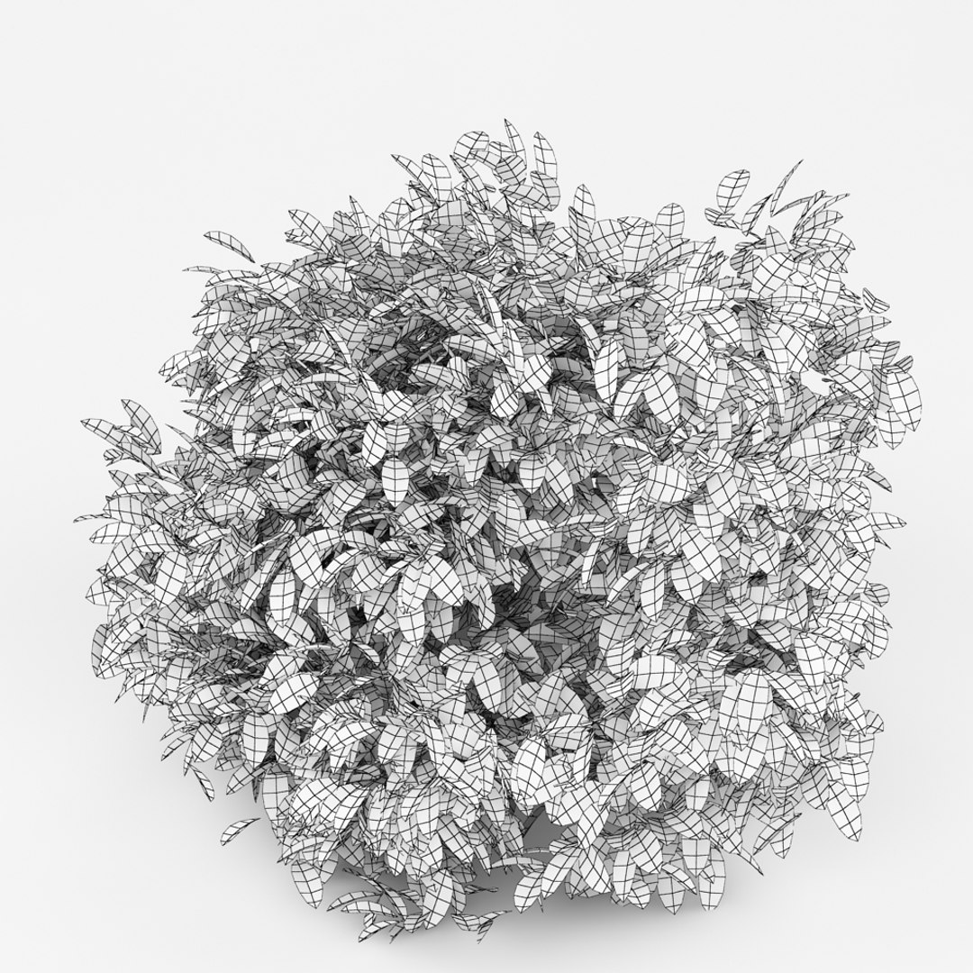 3d Model Bush