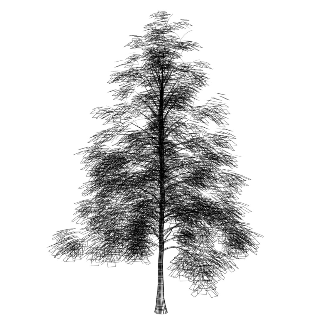 lwo acer xfreemanii celebration https://p.turbosquid.com/ts-thumb/sH/OL3W6n/LRqglp4X/acerxfreemaniicelebration_4/jpg/1218047338/1920x1080/fit_q87/df5c717ac87873bce0c3c4ec938af51e349b81e1/acerxfreemaniicelebration_4.jpg