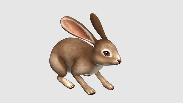 3D animated rabbit model - TurboSquid 1924621