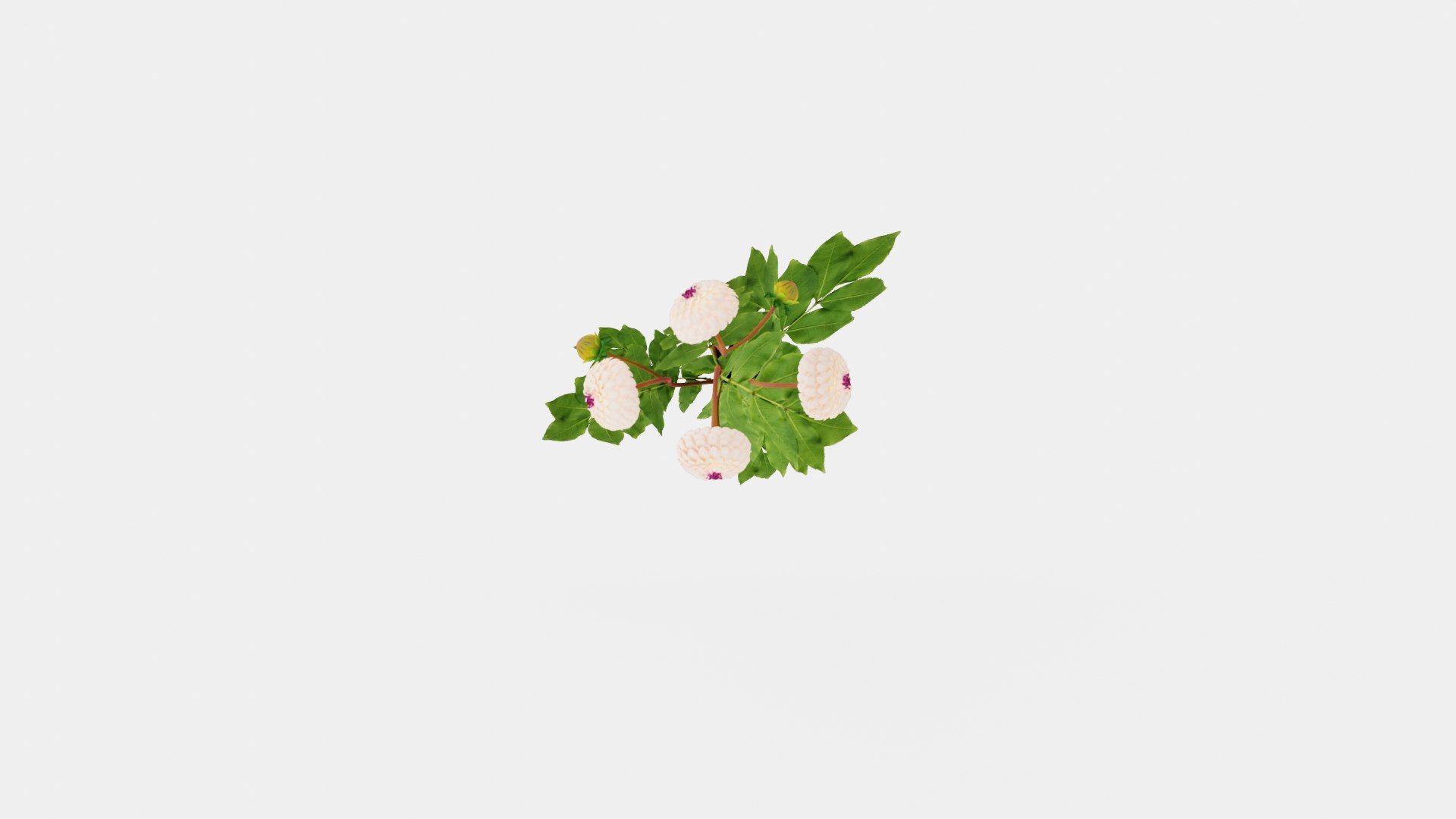 3D WINE EYED JILL https://p.turbosquid.com/ts-thumb/sH/Tnu7yY/ss/preview__top/jpg/1719817647/1920x1080/fit_q87/26ff442dcec908c0edf2271d80d2bb924aebc39f/preview__top.jpg