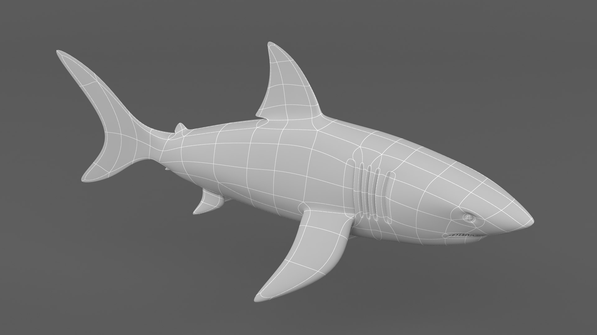 White Shark 3D - TurboSquid 1921104