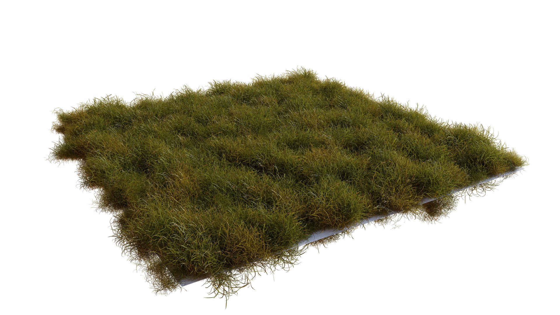High-Quality Realistic Grass 3D model https://p.turbosquid.com/ts-thumb/sH/YUOtp6/4W/hqrender3/png/1623966626/1920x1080/fit_q87/67d58d5ba183fa66de89f9fbd89c7d9db6911ef6/hqrender3.jpg