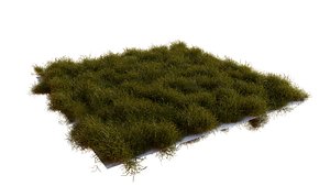 High-Quality Realistic Grass 3D model