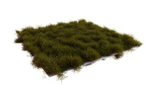 High-Quality Realistic Grass