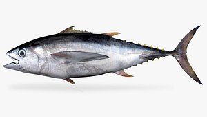 tuna