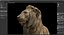 Sculpture Lion Assis PBR Low-poly